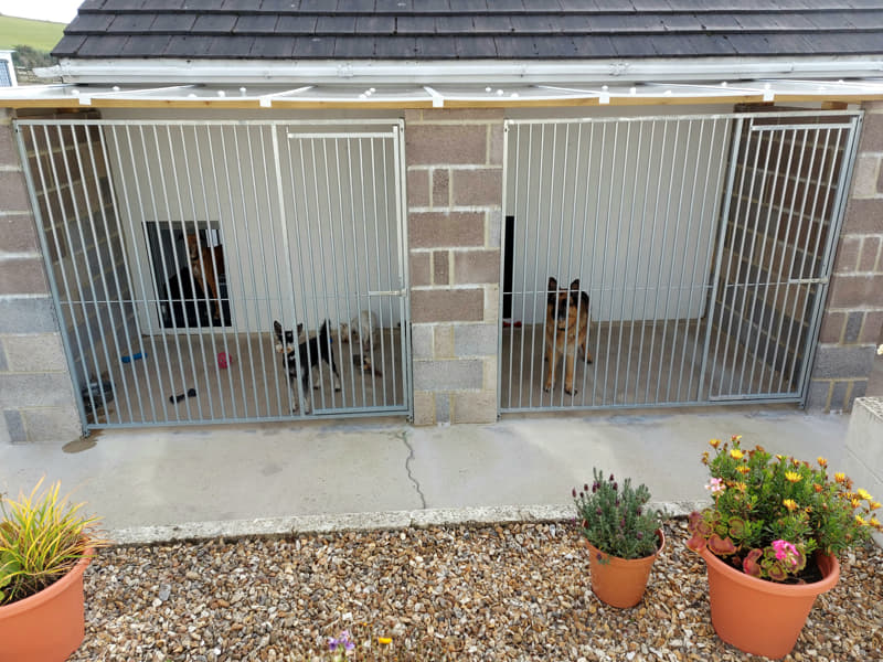 two adjoining kennels at Dukesmead kennels and cattery