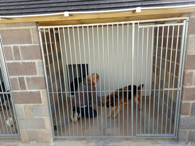 staff with a dog in kennel at Dukesmead kennels and cattery