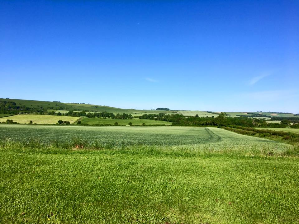 view of the downs close to the kennels and cattery